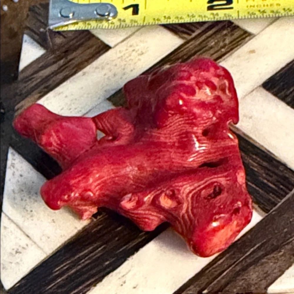 Red coral piece for Jewelry project I have had this for forty years